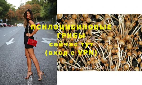 тгк Бугульма
