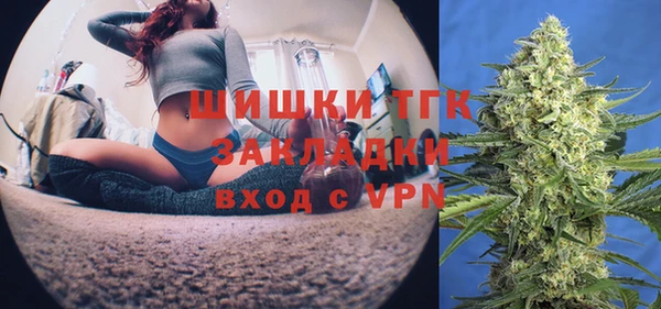 шишки Верея